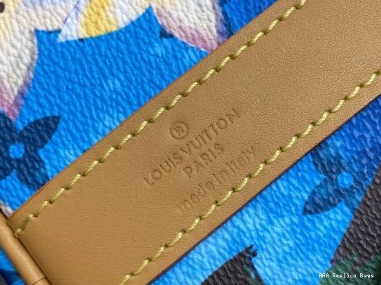 Aaa replica bags SPEEDY Vuitton 25 Louis 0825